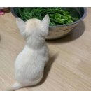 정담약국 이미지