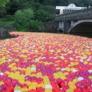 불교문화원 이미지