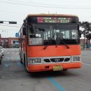 대성상포