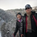 안젤라 이미지