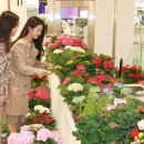 롯데몰 앞1 이미지