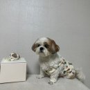 케이크닿음 이미지