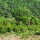 어제의 그림 오늘의 인문학 이미지