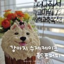 푸드포퍼피 이미지