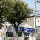[순천맛집]순천 조례동 참치다컴 단체모임,가족모임으로 좋은 참치다컴