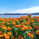 사회적기업 푸른하늘 이미지