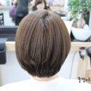 신백로 8길 이미지