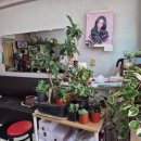 이화 헤어샵 이미지