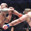 서울 마이티 체육관 이미지