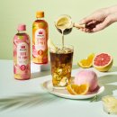 피치블랙 | 제로 블렌딩티 2종 500ml 12개입 (피치 얼그레이 & 유자몽 블랙티) 솔직 후기