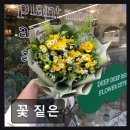 꽃짙은