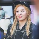 샴푸노래짱
