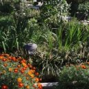 푸르름의 농원 이미지