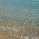 최씨네칼국수 | 강릉여행 또간집 (금천칼국수/해송횟집/비바빌리지/툇마루/갤러리밥스/ 최일순짬뽕순두부/ 감자유원지)