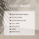 네일랑드 네이버블로그
