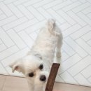 이소블랜딩 이미지