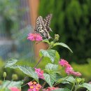 부일부동산 이미지