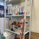 올리스 24(마산) | 창원 마산 애견 셀프 목욕 올리스24에서 강아지 목욕시키기