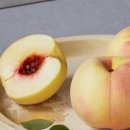 설아농장 이미지