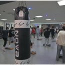 레드윙 복싱 이미지