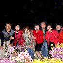 선운사의추억 이미지