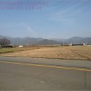 자산동230 이미지