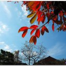 성모당(聖母堂) 이미지