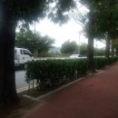 포장용기표시기재사항에 대한 판단! 인터넷광고 스토아플랫폼광고시 주의사항 판단! 화장품 표시광고...
