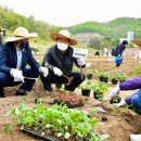 박종일농장 이미지