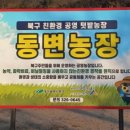 에코팜잉협동조합 이미지