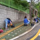 이면도로 잡초제거 이미지