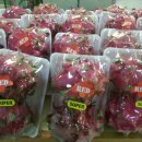 후레쉬마트 이미지