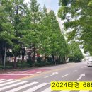 영통초교 이미지