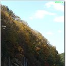 팔공컨트리클럽 이미지