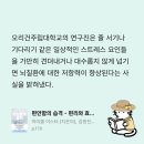 책고양이 | [독서어플 추천] 고양이 책집사 (유료 구독 후기)