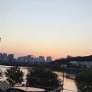 펫앤스토리 | 천안핫플, 단대호수카페, 피플앤스토리부근 카페고메에서 발견한 특별한 순간들