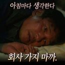 영하우스 이미지