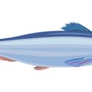 청어람로 이미지