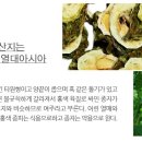 네츄럴테라피푸드 이미지