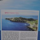 제주 올레 10 코스 [ 일제시대에 송악산 해안 절벽에 일본군이 구축한 해안진지 ] 이미지