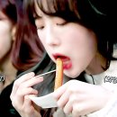 루다투어