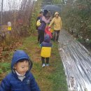 혜림농장 이미지