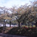 광한루추어탕 이미지