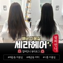 세라헤어샵 - 순천시 | 세라헤어샵