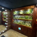 이자카야나무(선릉점) 이미지