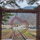 문경 오미자테마터널 | 문경 오미자테마터널 후기│벚꽃 철길 포토존까지 가볼만한 곳 정리