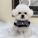 뽀프퍼피 이미지