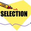 셀렉션(selection)