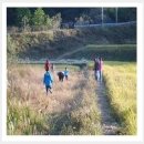 도새울마을 이미지