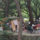 현대야영장 이미지